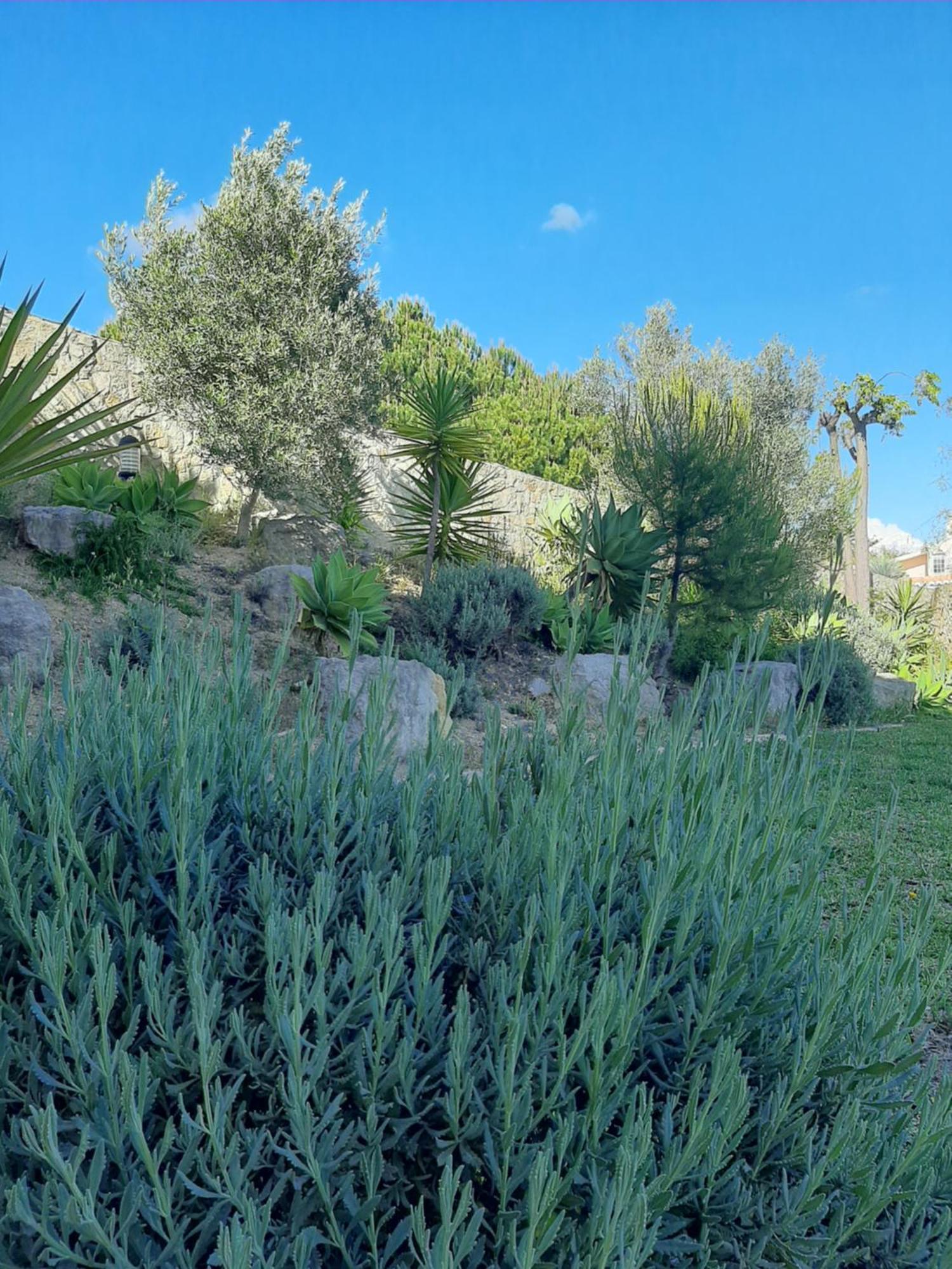 Senhora da Luz Lucie Lime Guesthouse מראה חיצוני תמונה